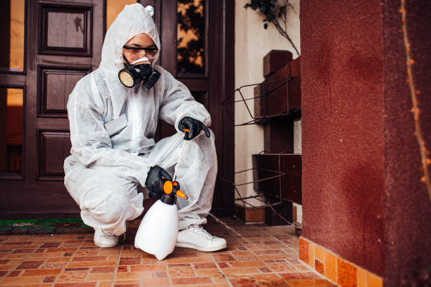 Reliable Wasp Removal contractor in Forsgate, NJ by Show Me Pest Control